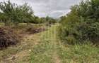 Teren intravilan de vanzare in Daia Noua 1.000 mp - 2