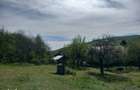 Teren spectaculos ,Porumbeni12.822 mp livada,case ?i panorama superba - 14