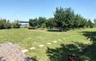 Teren intravilan 1200 mp+casuta de gradina si anexe Cascioarele, Ulmi - 8