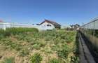 Proprietate 2.229 mp cu Dotari pentru Afacere Florala