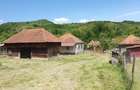 Vand casa cu gradina - 8