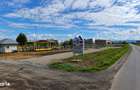 Terenuri de vanzare Tarlungeni, Izvor | 600 mp | 0% Comision - 3