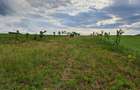 2900m2 teren intravilan in comuna Ion Creanga jud Neamt - 3