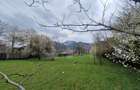 Teren intravilan cu 2 deschideri la drum 35 m, 4300 mp, Baciu Sacele - Brasov - 7