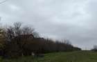 Vanzare teren intravilan 5014mp Afumati - Strada Sperantei - 2