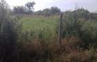 Teren de vanzare 1000m - 8