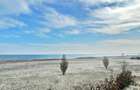 MAMAIA NORD - STUDIO - SIGNATURE PROMENADA - 51.3 MPT - Comision 0% - 19
