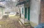 Casa cu 2 camere, teren 3000 mp, padure - 1