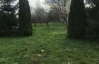 Casa de vacanta lac si padure 30 min de Bucuresti - 2