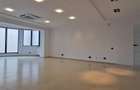 Nordului Caramfil Office lux all level su 185mp - 3