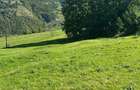 vand teren Muntele Rece - 4