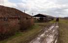 Fermă cu teren intravilan de 35000 mp în Mișca - 14
