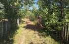Teren intravilan de vanzare 3375 mp in Brebu - 6