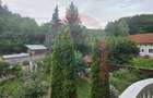 Casa de vanzare langa padure | Tatarani | 190 mp utili | Teren 917 mp - 17