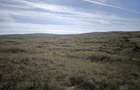 Teren agricol 25.400 m.p. Craciunelu de Jos | Blaj | un singur lot - 1