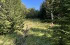 Teren 15.600 mp (1,56 ha) Campulung Moldovenesc | Padure, izvor si parau | Refugiu in mijlocul naturii - 5