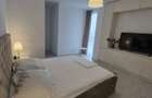 Apartament 2 camere Grozavesti - 9