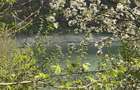Teren plat cu deschidere la lacul Paltinu, acces facil, utilitati - 2