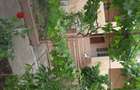Casă cu 6 camere cu Teren 1401 Mp în Alioș - 5