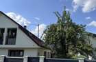 Proprietate cu doua case | Zona premium intre Dambu Pietros si Gh Doja - 6