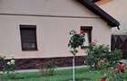 Casă cu Teren 1050 Mp în Lenauheim - 3