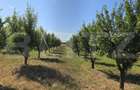 Casa 4 camere, 120 mp, teren 5000 mp, zona Balta Blonda