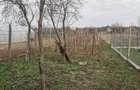 Casa de vanzare in Caracal - 8