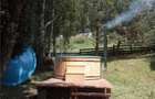 Cabana la munte, Colibita, jacuzzi, foisor - 15