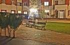 London residence Pipera-vila inchiriat - 2