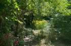Casa 4 camere, curte mare - 3