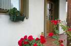 Casa vintage de vanzare - 10