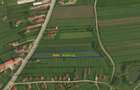Teren intravilan in suprafata de 7.580 mp | DN65 Albota | Langa OMV - 2