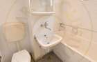 De Vanzare Apt 3 camere Careiului Satu Mare - 10