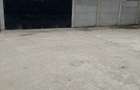 Sat Tichilesti jud, Braila - 5
