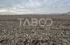 Teren intravilan 5800 mp cu potential de investitie