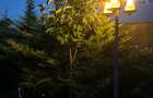 Vila premium Corbeanca - 10