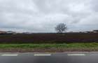 Teren Otopeni 10.000 mp deschidere 25m - 1