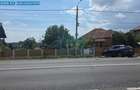 Casă + 4681 mp teren | Oportunitate investițională | Șimian - 8