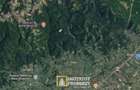 De vanzare teren extravilan 8,2037 ha padure ?i pa?une Borod, Bihor - 5