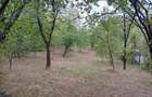 Teren de 1280 mp, în Predeal - 3