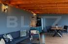 Cabana de vânzare – oportunitate de business / casă de vacanță – Transapuseana - 5