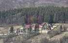 Teren intravilan de vanzare in Valea Doftanei - 1