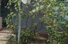 Vande casa in jud.Braila - 1