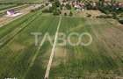 Teren intravilan 2000 mp si extravilan 1150 mp de vanzare in Vad - 2