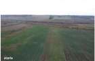 Teren Albesti, Vaslui, ID: R2893960