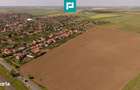 Teren extravilan de 28500 mp langa Sofronea - 7