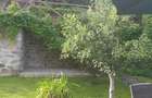 Casa si teren de vanzare langa Baile Govora - 7