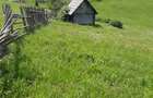 Teren 7 Hectare Brodina Suceava Par?ial Intravilan, Casa + Anexe, Zona de Munte | Ocazie - 4