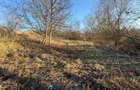 Teren 944 mp Oasului, Cluj-Napoca | Intravilan | Oportunitate investitie - 1