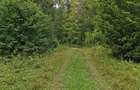 Vand teren intravilan 5.000 mp Sat Brate?, Com. Tarcau, Jud. Neam? - 3